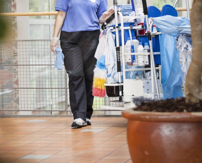 Header Bild: Sonderreiniger / Cleaner (m/w/d) in Bludenz